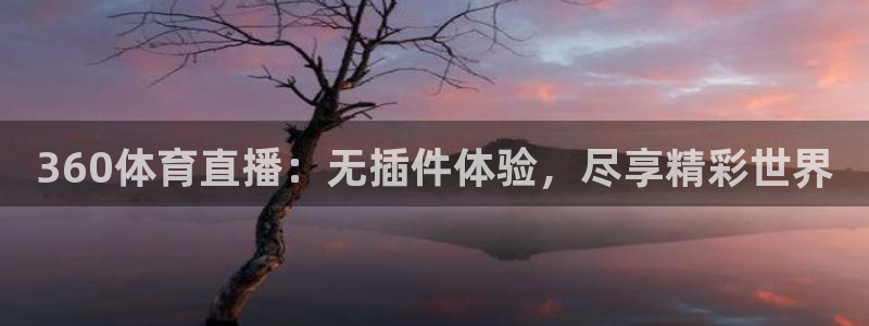 竞彩赛事资料